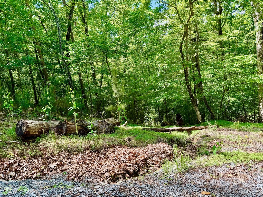 1190 Gibe Court Property Photo 8