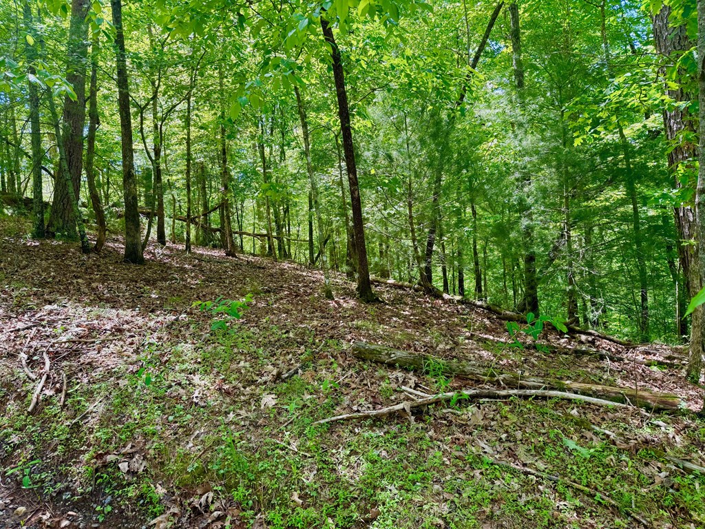 1190 Gibe Court Property Photo 9
