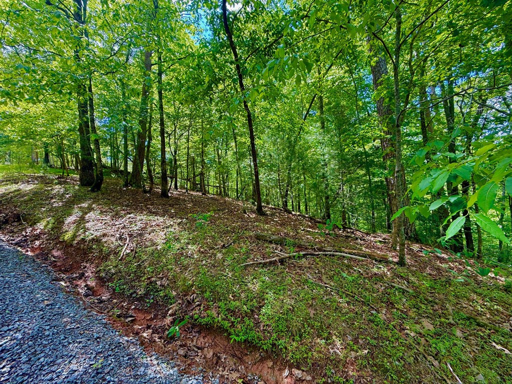 1190 Gibe Court Property Photo 10