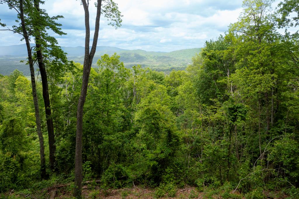 LT 61 Wilderness Creek Way Property Photo 1