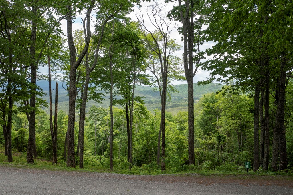 Lt 61 Wilderness Creek Way Property Photo 2