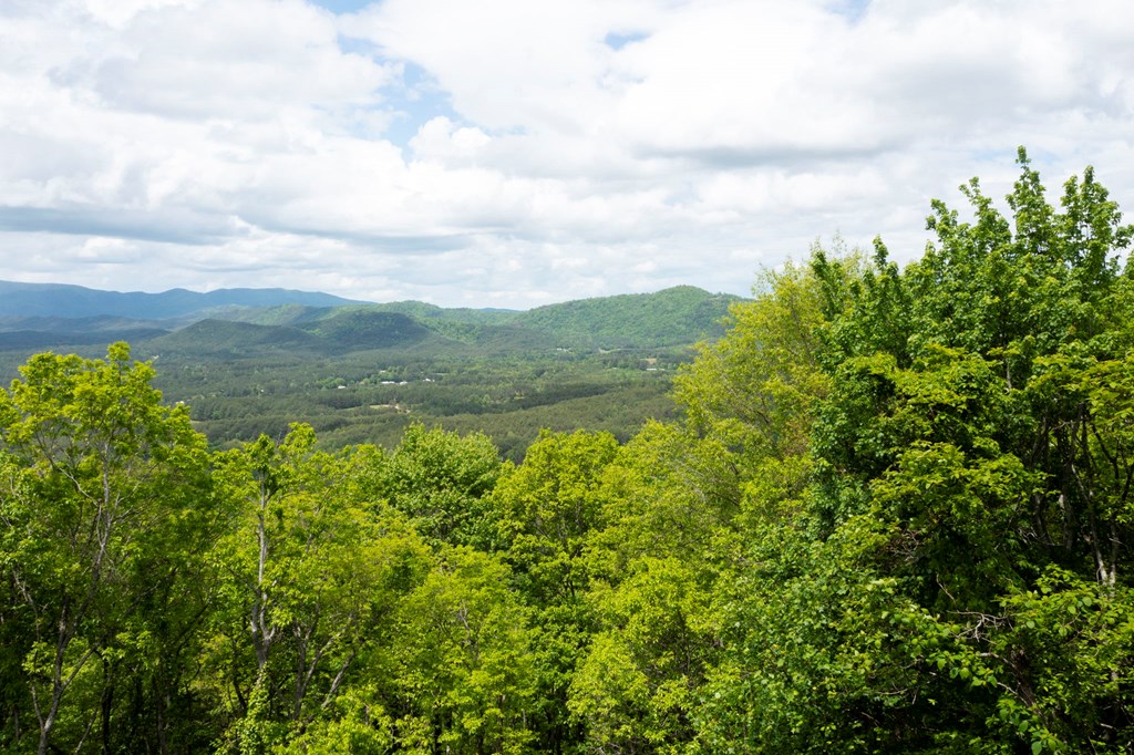 Lt 61 Wilderness Creek Way Property Photo 4