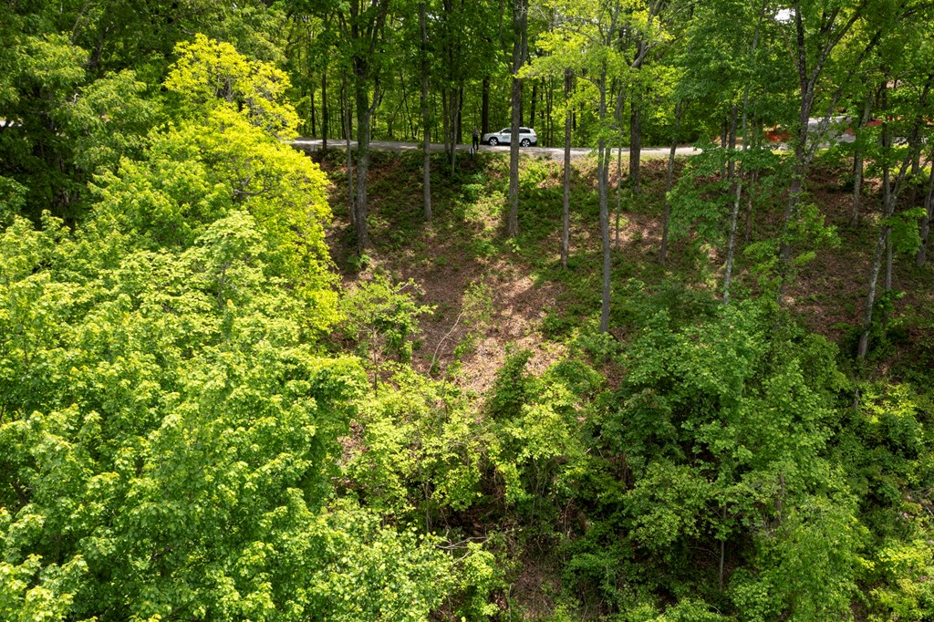 Lt 61 Wilderness Creek Way Property Photo 10