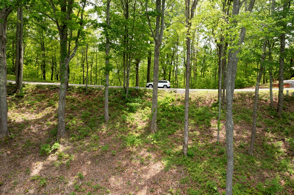 Lt 61 Wilderness Creek Way Property Photo 11