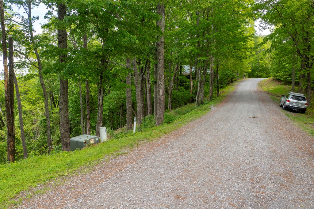 Lt 61 Wilderness Creek Way Property Photo 14