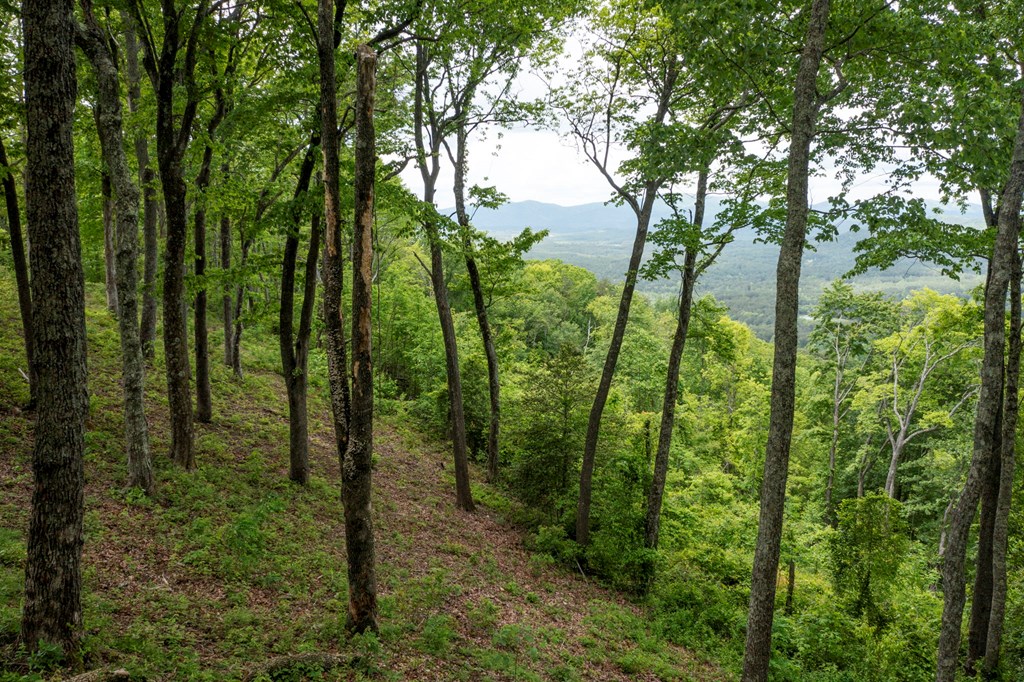 Lt 61 Wilderness Creek Way Property Photo 16
