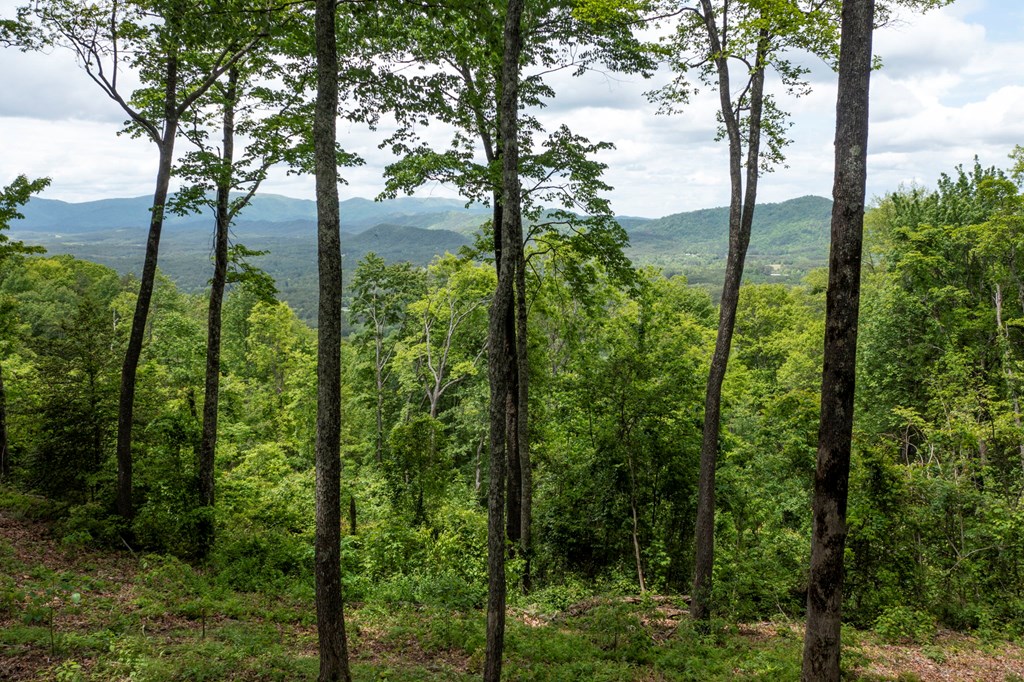 Lt 61 Wilderness Creek Way Property Photo 17