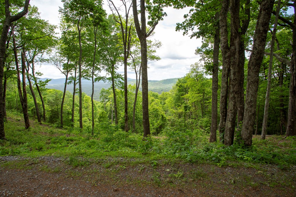 Lt 61 Wilderness Creek Way Property Photo 18