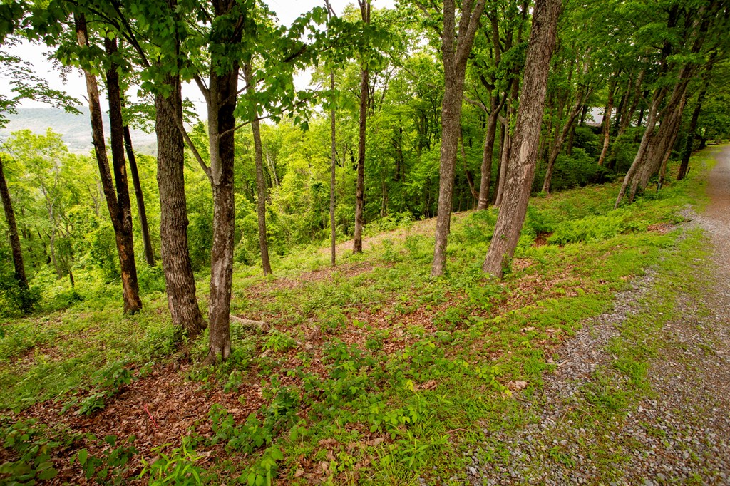Lt 61 Wilderness Creek Way Property Photo 19