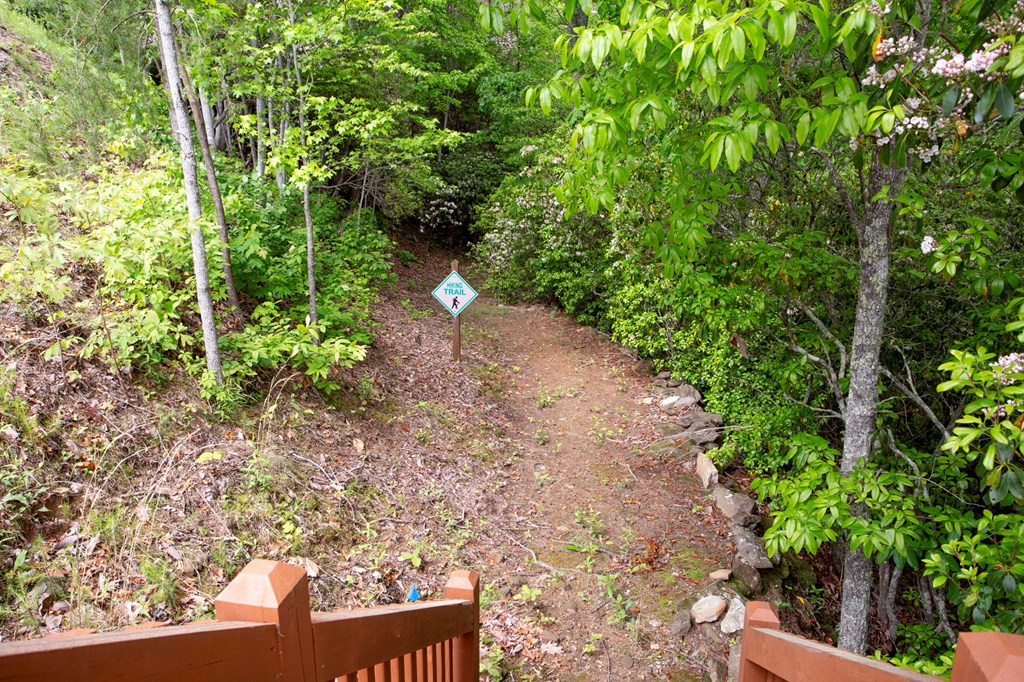 Lt 61 Wilderness Creek Way Property Photo 21