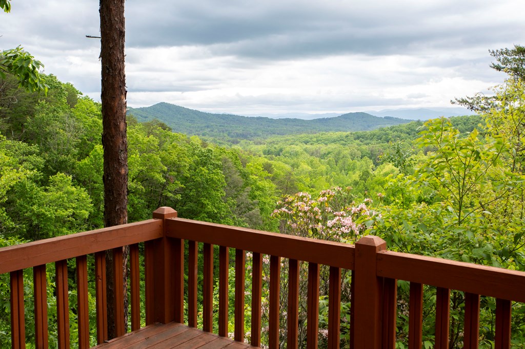 Lt 61 Wilderness Creek Way Property Photo 24