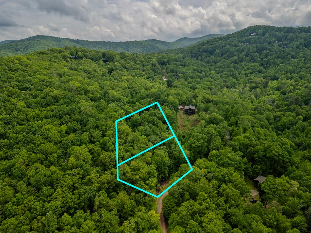 3.3 Acre Mangums Trail Property Photo 1