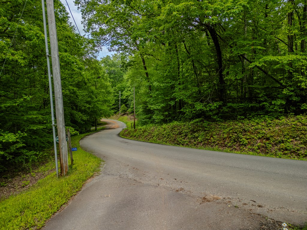 3.3 Acre Mangums Trail Property Photo 3