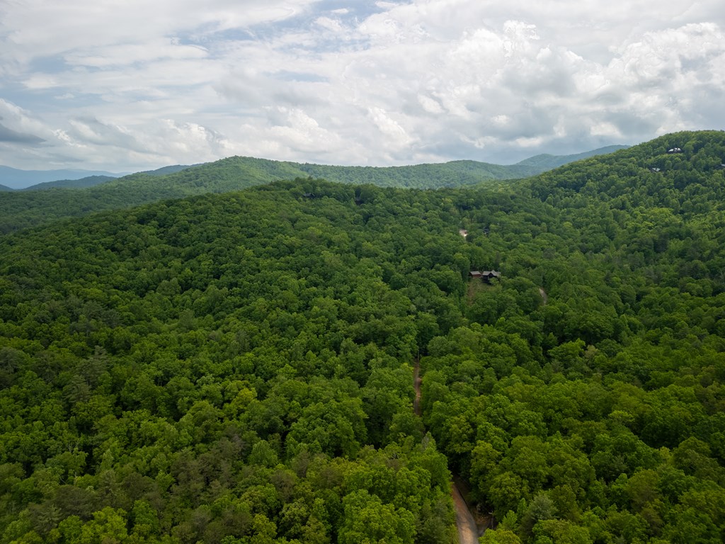 3.3 Acre Mangums Trail Property Photo 4