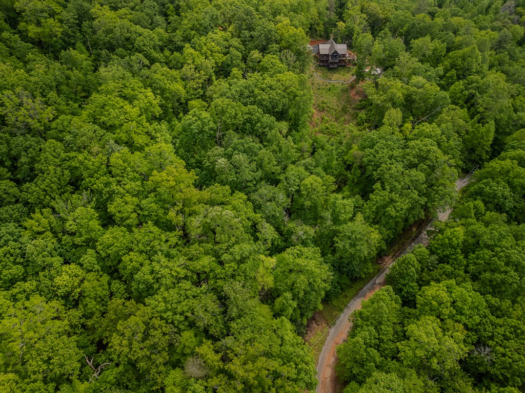 3.3 Acre Mangums Trail Property Photo 5
