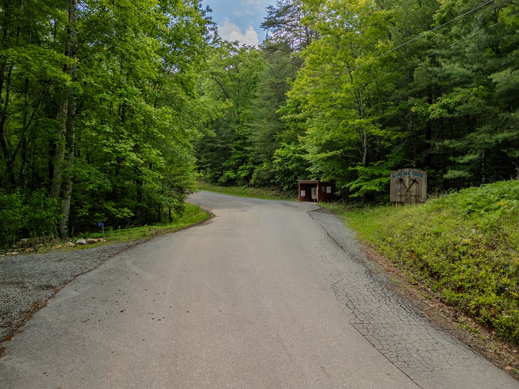 3.3 Acre Mangums Trail Property Photo 6