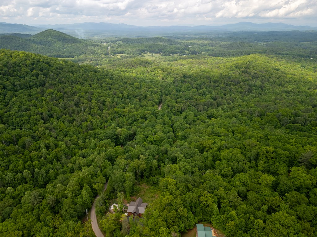 3.3 Acre Mangums Trail Property Photo 8
