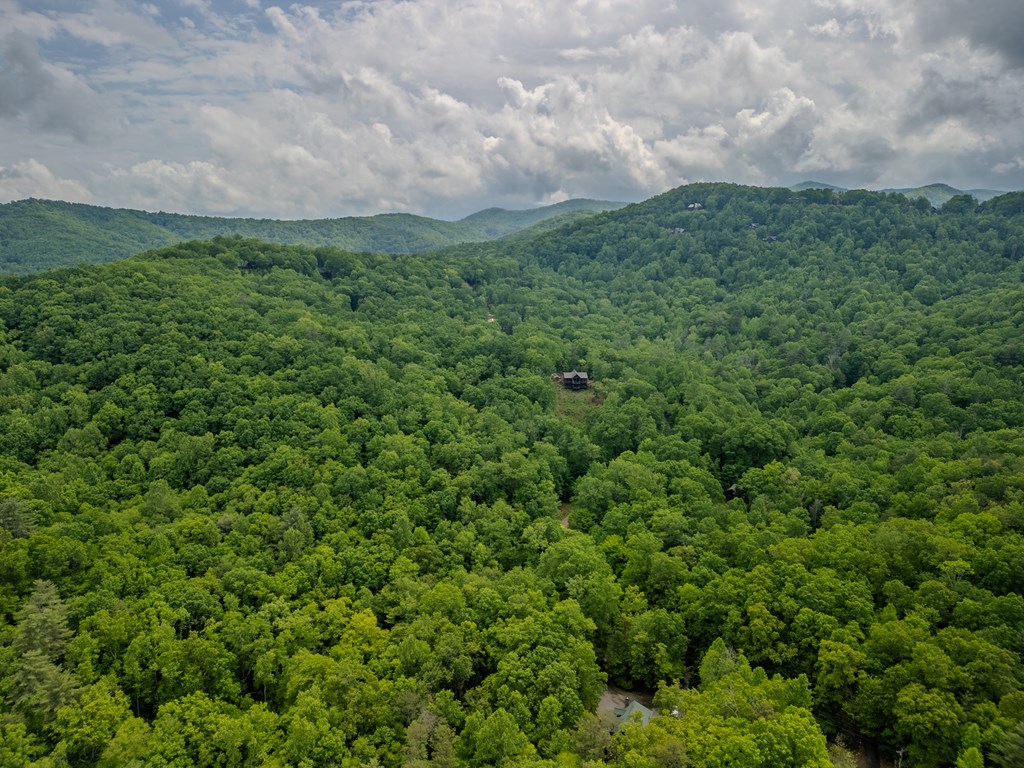 3.3 Acre Mangums Trail Property Photo 11