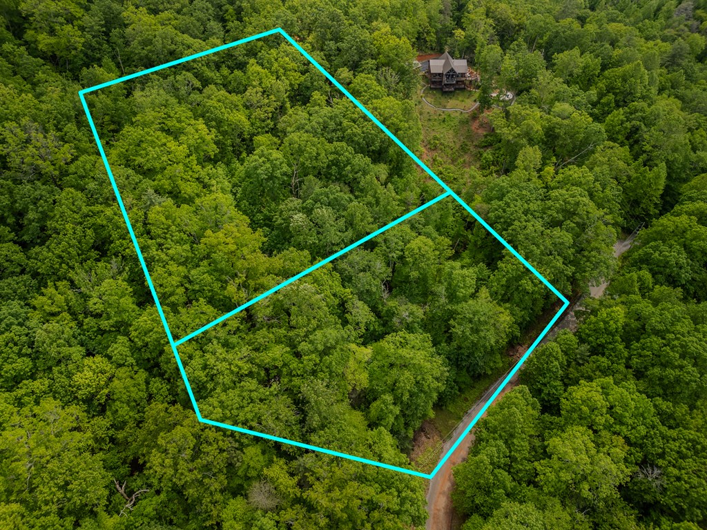 3.3 Acre Mangums Trail Property Photo 12