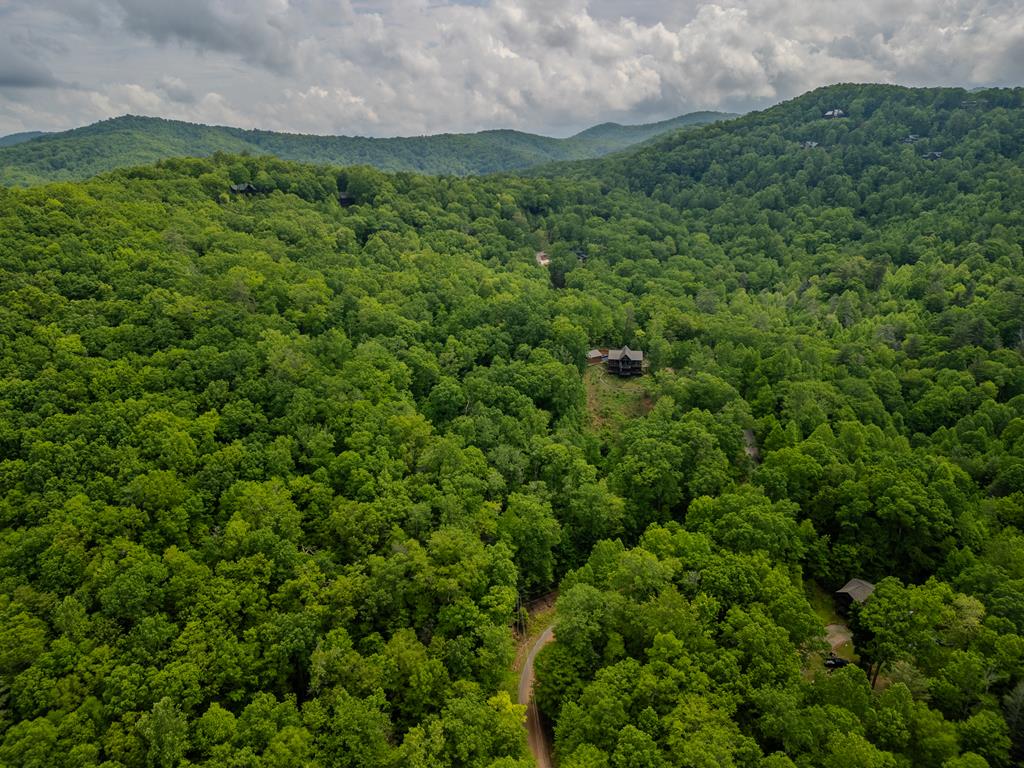 3.3 Acre Mangums Trail Property Photo 13