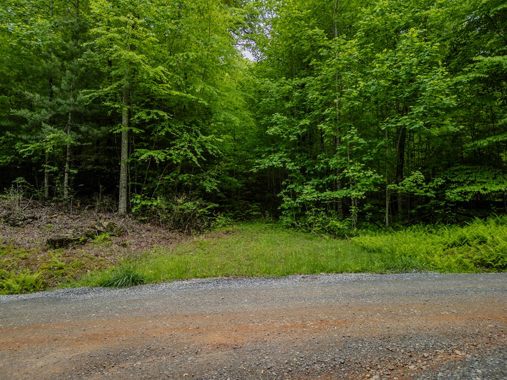 1.8 Acre Mangums Trail Property Photo 1