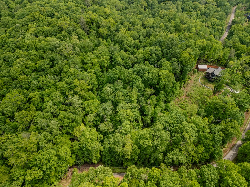 1.8 Acre Mangums Trail Property Photo 2