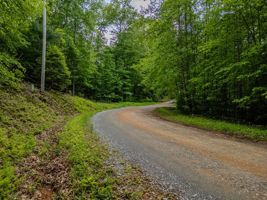 1.8 Acre Mangums Trail Property Photo 6