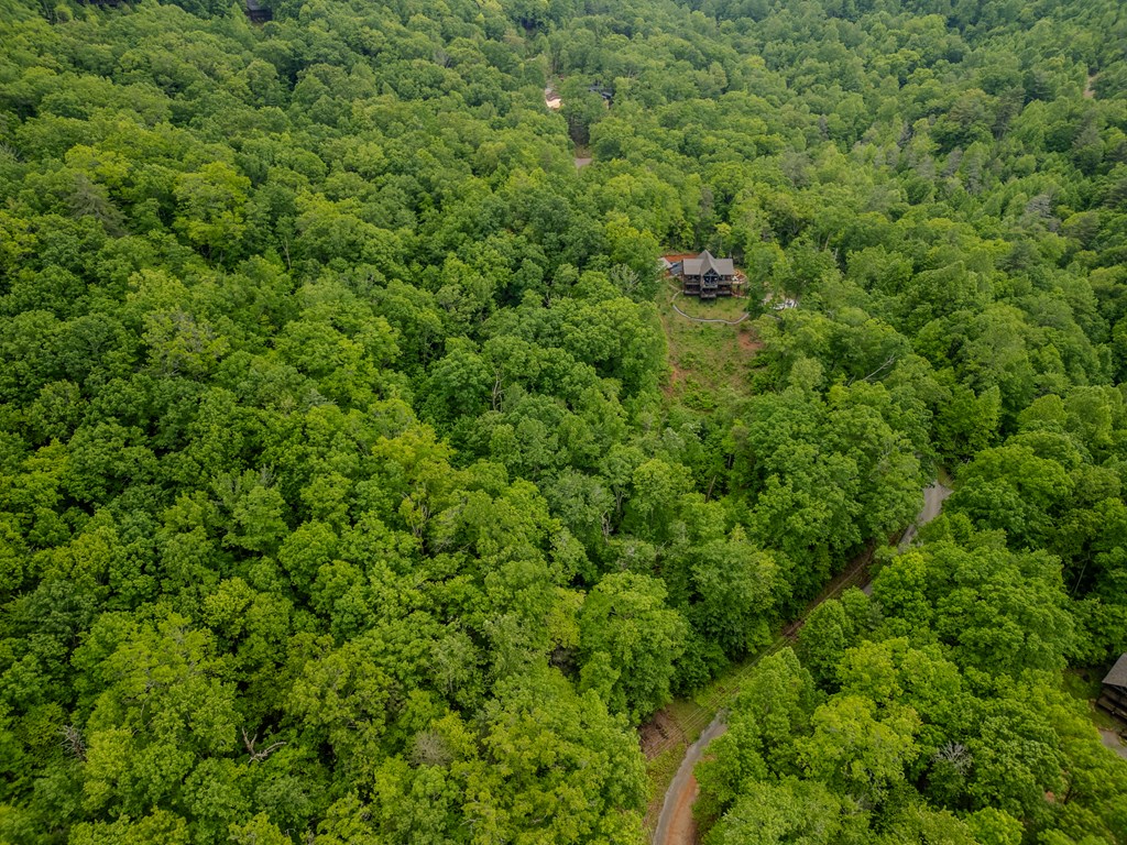 1.8 Acre Mangums Trail Property Photo 9