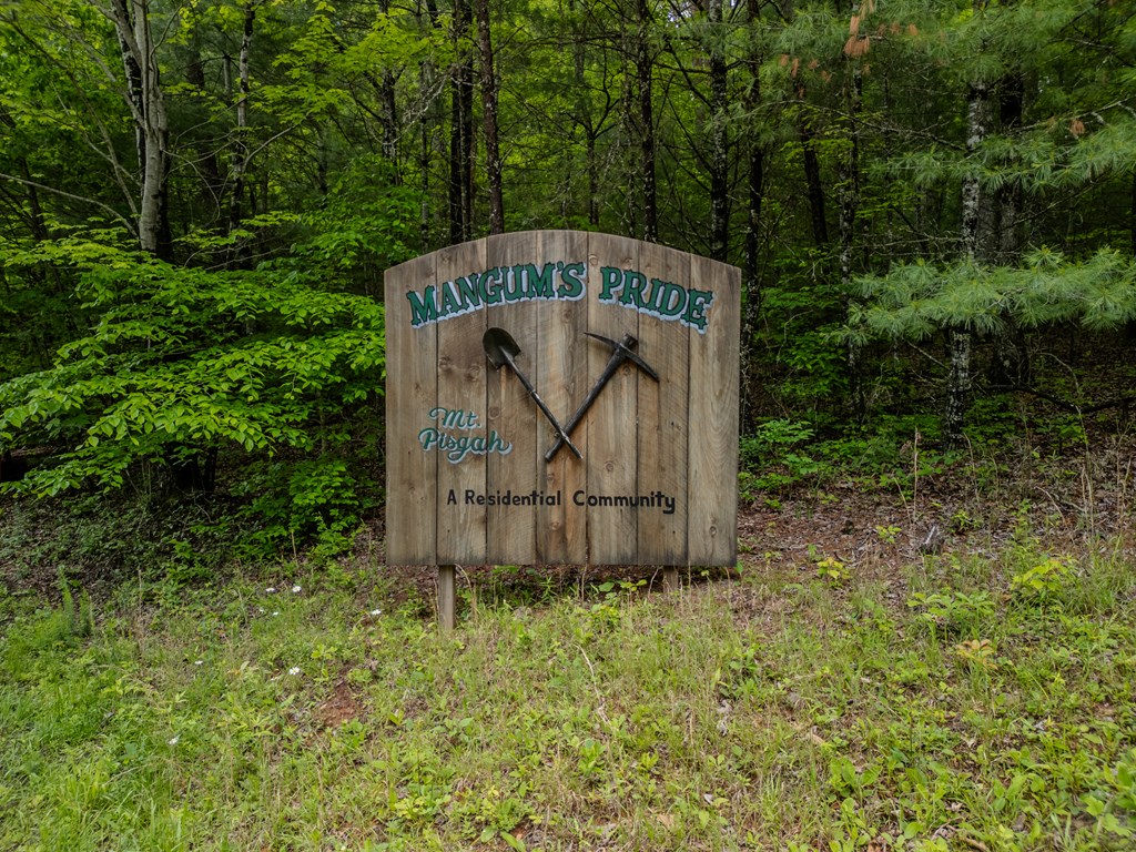 1.8 Acre Mangums Trail Property Photo 11