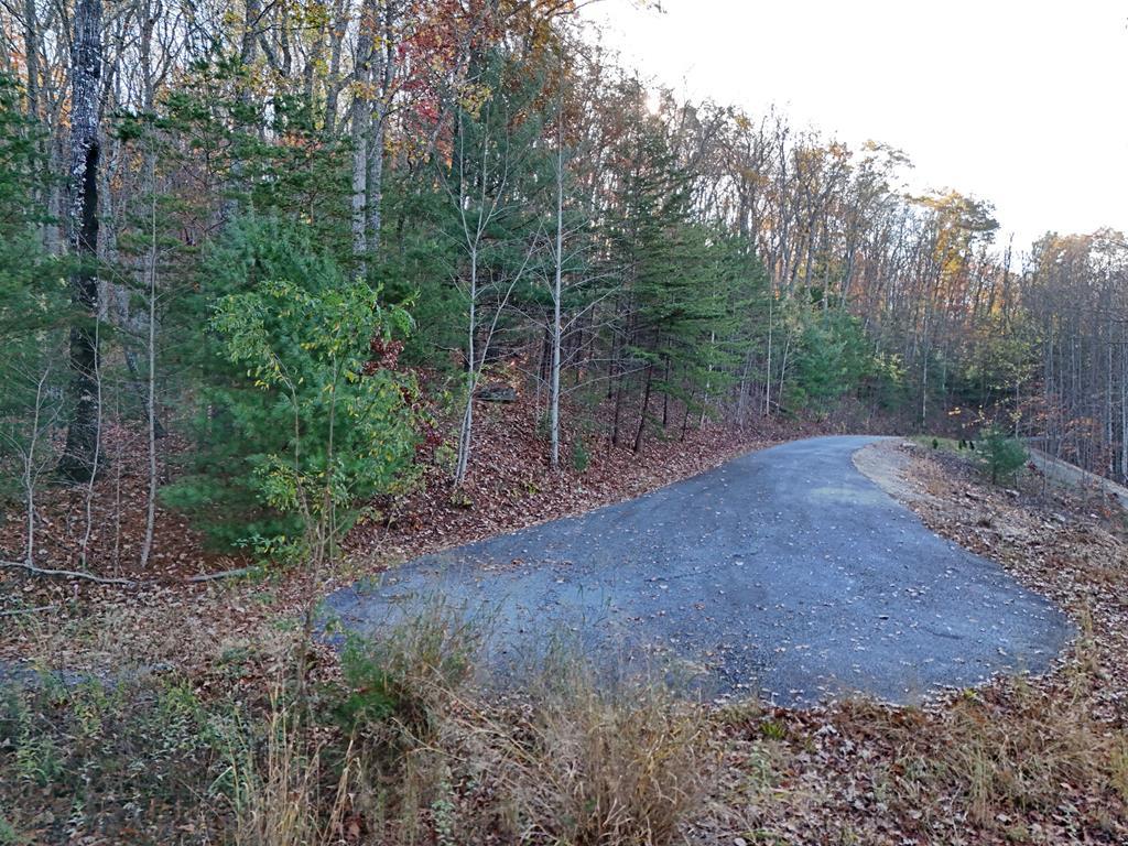 Lt 20&21 Red Twig Road Property Photo 3