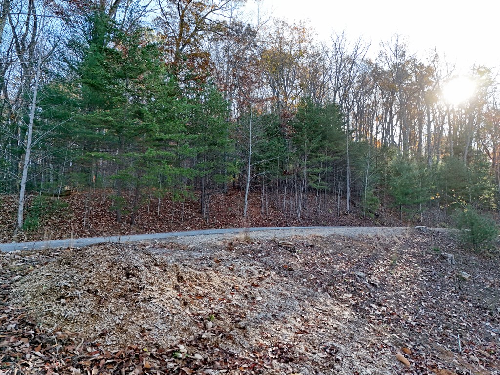Lt 20&21 Red Twig Road Property Photo 4