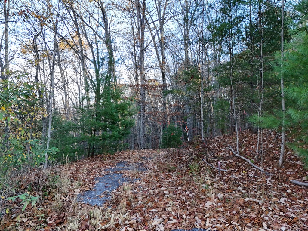 Lt 20&21 Red Twig Road Property Photo 9