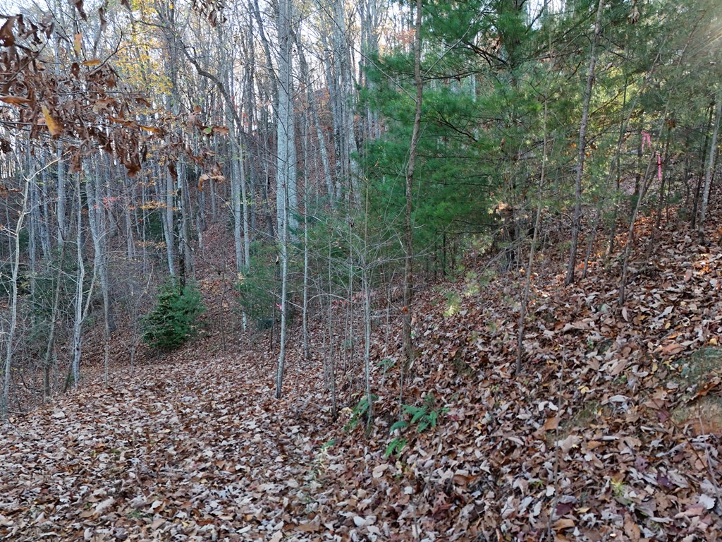 Lt 20&21 Red Twig Road Property Photo 10