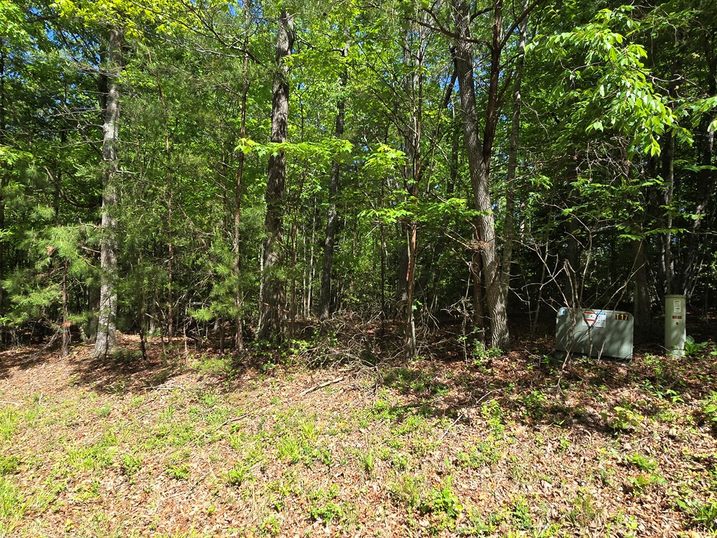 Tract 4a Garland Lane Property Photo 7