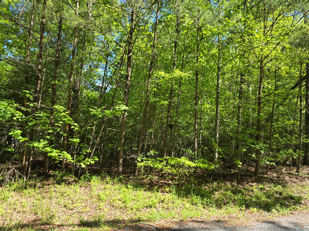 Tract 4a Garland Lane Property Photo 8