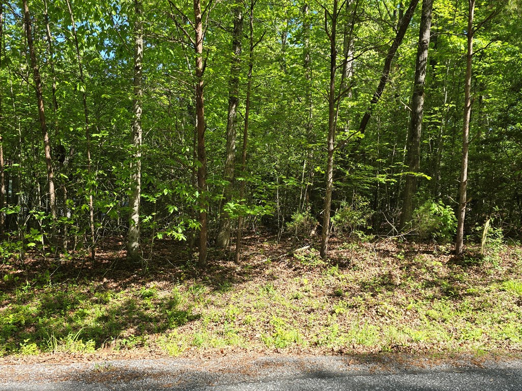 Tract 4a Garland Lane Property Photo 9