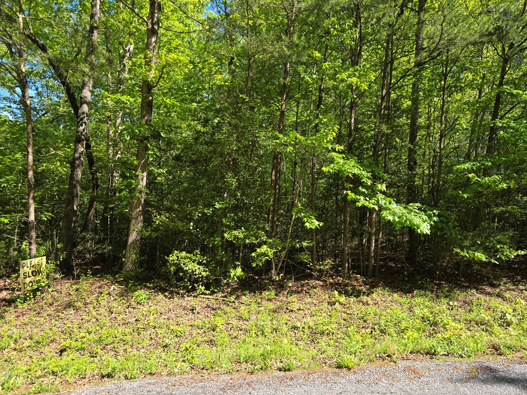 Tract 4a Garland Lane Property Photo 10