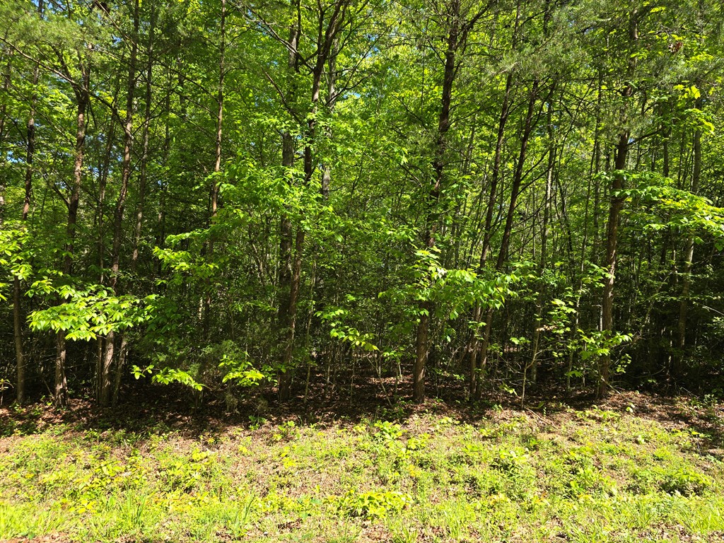 Tract 4a Garland Lane Property Photo 11