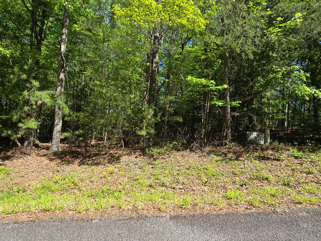Tract 4a Garland Lane Property Photo 12