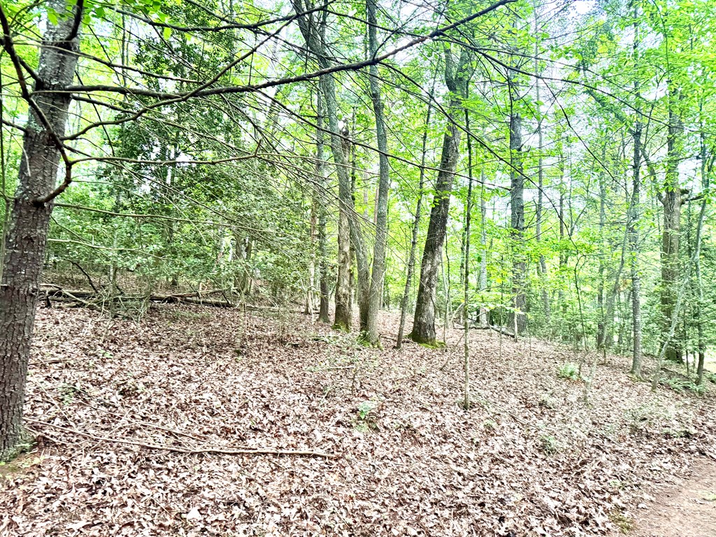 Tract C Captains Cove Property Photo 10