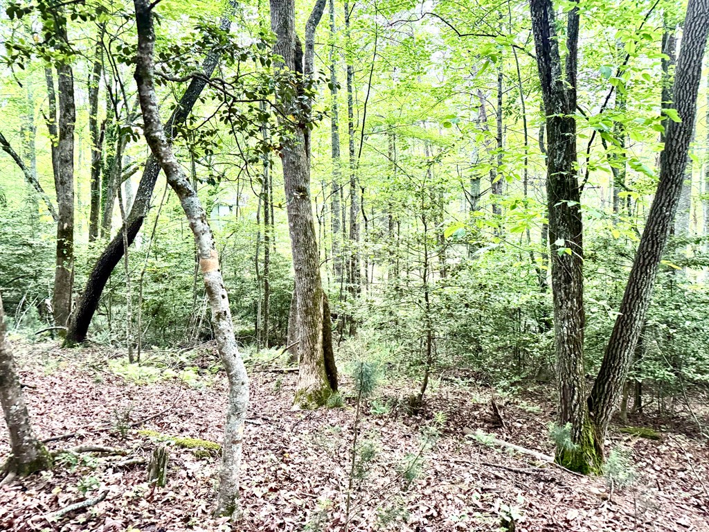 Tract C Captains Cove Property Photo 12