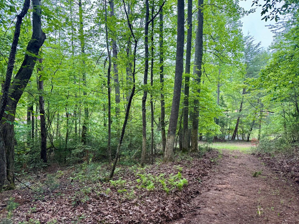 Tract C Captains Cove Property Photo 13