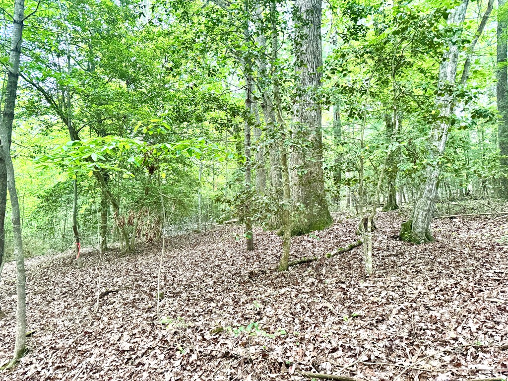Tract C Captains Cove Property Photo 14