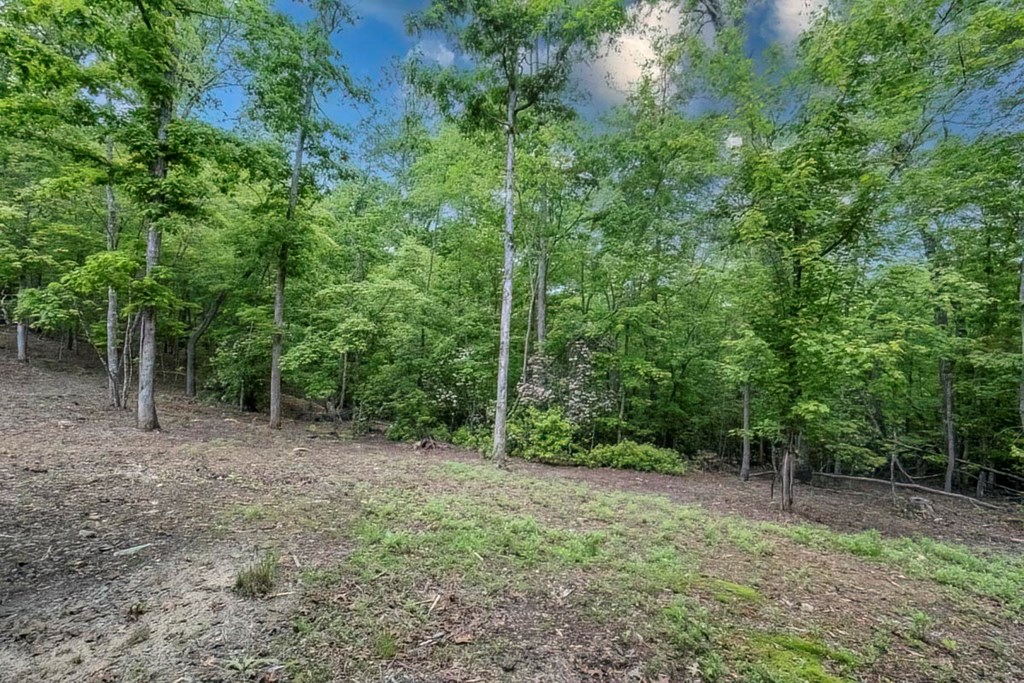 1085 Dills Road Property Photo 46