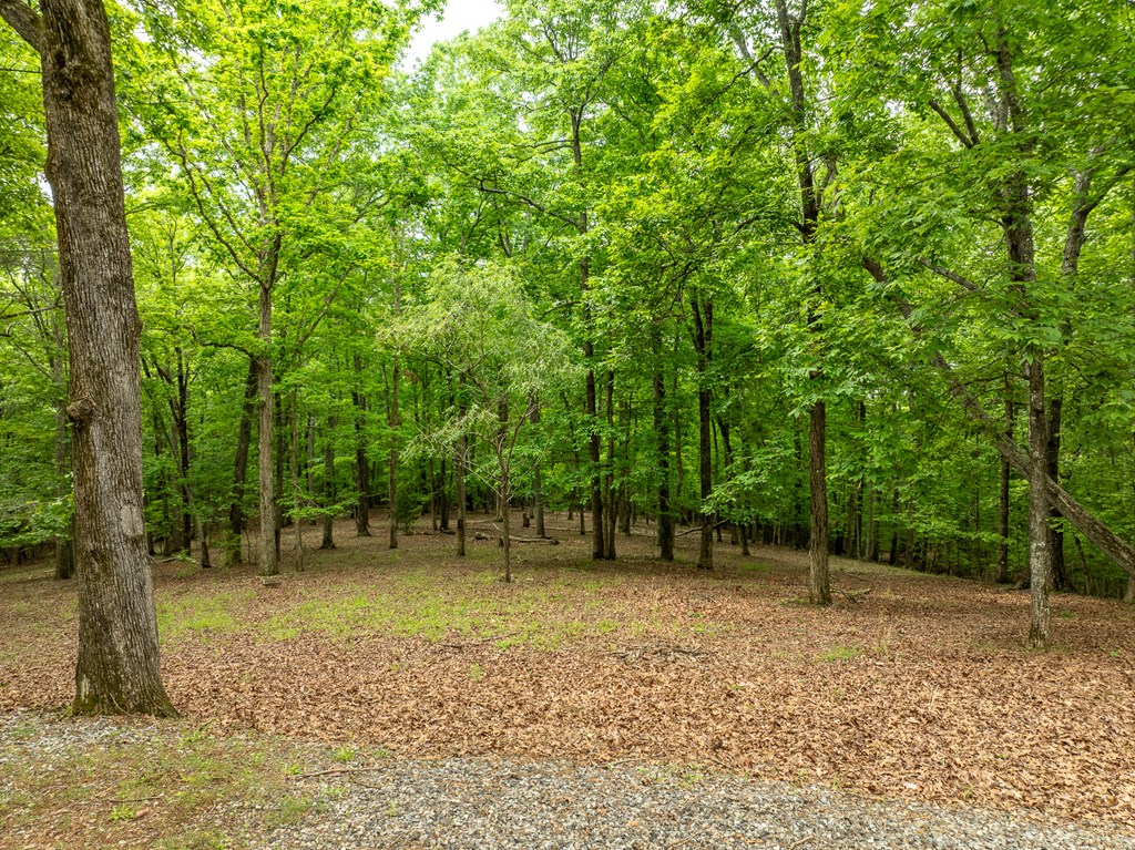 399 Hideaway Hills Road Property Photo 13