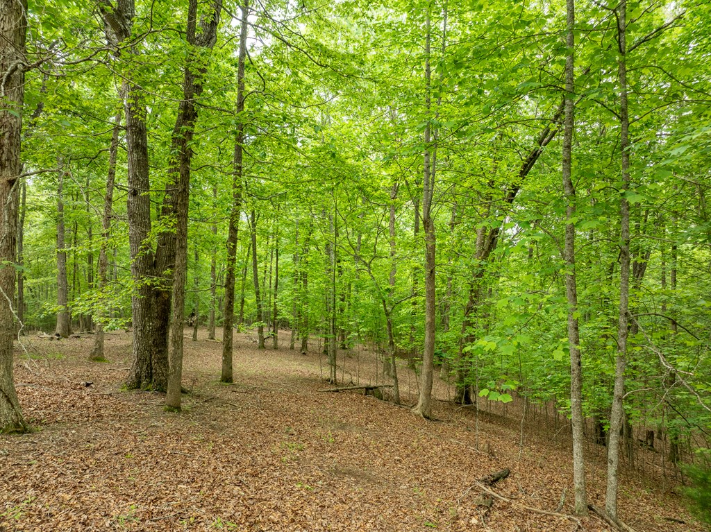 399 Hideaway Hills Road Property Photo 14