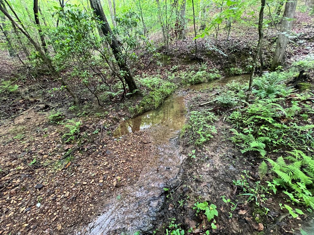 395 Able Road Property Photo 1