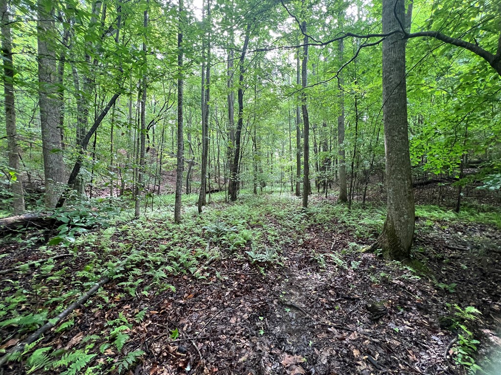 395 Able Road Property Photo 3