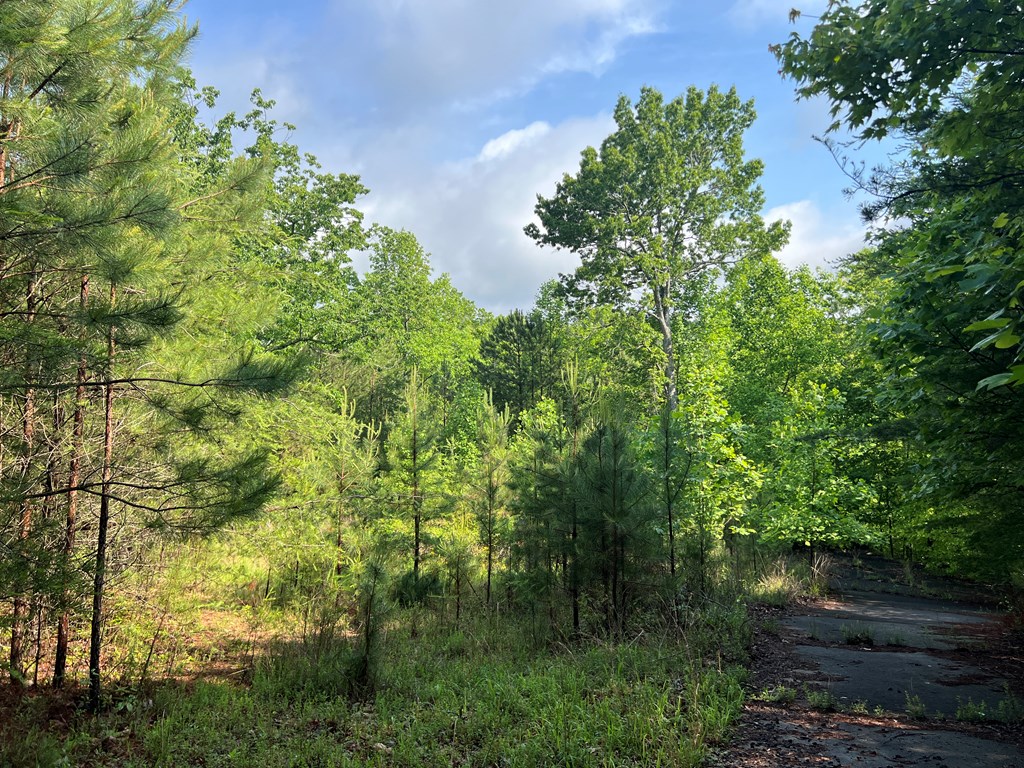 395 Able Road Property Photo 5