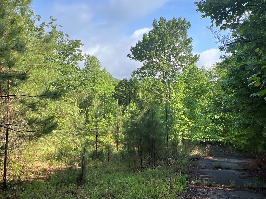 395 Able Road Property Photo 6